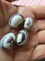 팜모닝 농사, 무엇이든 물어보세요!·참여글 게시글 이미지