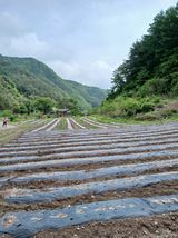 팜모닝 · 게시글 이미지