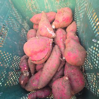 김문규님의 자유주제 · 자유게시판 작성글 사진