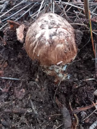 연향님의 자유주제 · 자유게시판 작성글 사진