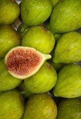 팜모닝 · 게시글 이미지