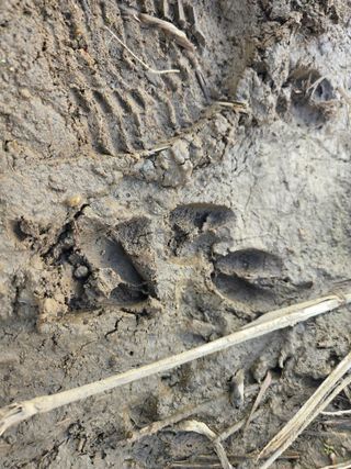 들꽃농장님의 자유주제 · 자유게시판 작성글 사진