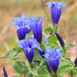 안길원님의 자유주제 · 자유게시판 작성글 사진