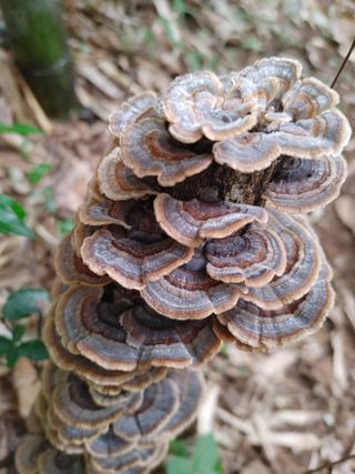 안길원님의 자유주제 · 자유게시판 작성글 사진