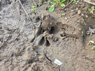 들꽃농장님의 자유주제 · 자유게시판 작성글 사진