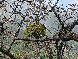 자유인 10496님의 자유주제 · 사진전 작성글 사진