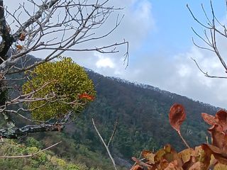 자유인 10496님의 자유주제 · 사진전 작성글 사진