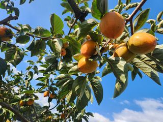 김재현님의 자유주제 · 칭찬해요 작성글 사진