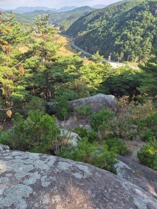 허굴산농장님의 자유주제 · 자유게시판 작성글 사진