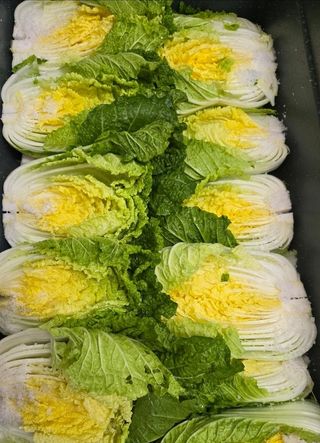 홍천산채농원님의 작성글 사진