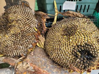 박치문님의 자유주제 · 자유게시판 작성글 사진