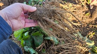 조병대님의 작성글 사진