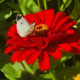 팜모닝 자유주제·자유게시판 게시글 이미지