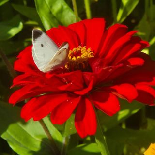 안길원님의 자유주제 · 자유게시판 작성글 사진