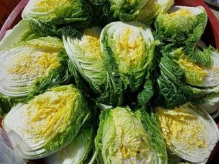 홍천산채농원님의 작성글 사진