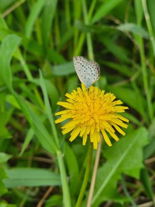안길원님의 자유주제 · 자유게시판 작성글 사진