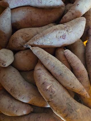 knlee님의 작성글 사진