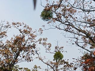 자유인 10496님의 자유주제 · 사진전 작성글 사진