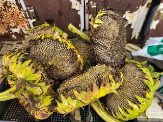 박치문님의 자유주제 · 자유게시판 작성글 사진