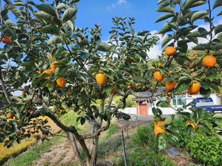 김재현님의 자유주제 · 칭찬해요 작성글 사진