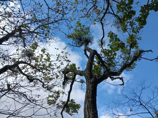 자유인 10496님의 자유주제 · 사진전 작성글 사진