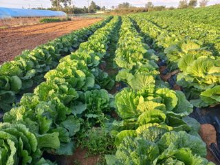 박린님의 자유주제 · 자유게시판 작성글 사진