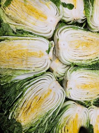 홍천산채농원님의 작성글 사진