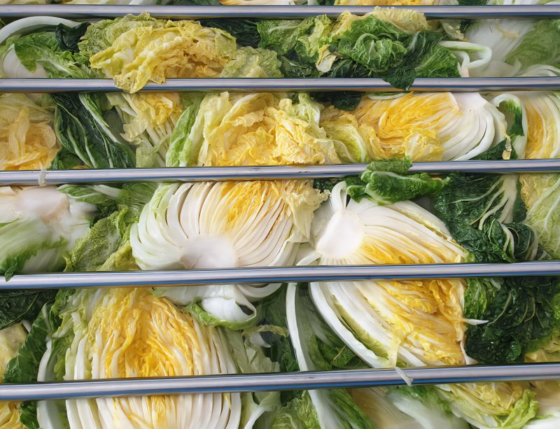 홍천산채농원님의 장터 판매 상품 [강원도 고랭지 절임배추 20Kg] 첨부 사진