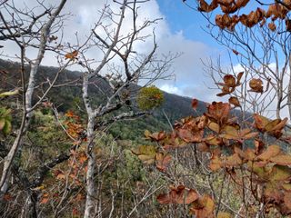 자유인 10496님의 자유주제 · 사진전 작성글 사진