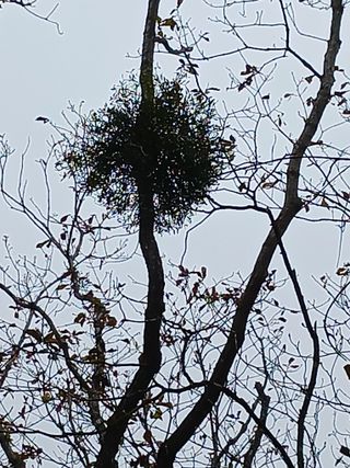 자유인 10496님의 자유주제 · 사진전 작성글 사진