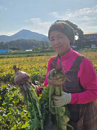 최월숙(왈순아지매)님의 자유주제 · 자유게시판 작성글 사진