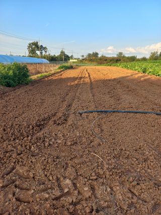 박린님의 자유주제 · 자유게시판 작성글 사진