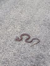 팜모닝 자유주제·자유게시판 게시글 이미지