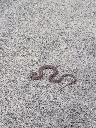 박영수부안님의 자유주제 · 자유게시판 작성글 사진