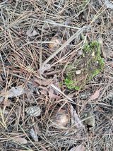 팜모닝 자유주제·자유게시판 게시글 이미지