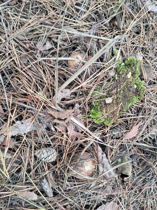 지대식님의 자유주제 · 자유게시판 작성글 사진