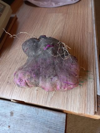 심무재 님의 자유주제 · 자유게시판 작성글 사진