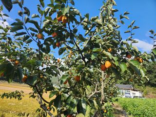 김재현님의 자유주제 · 칭찬해요 작성글 사진