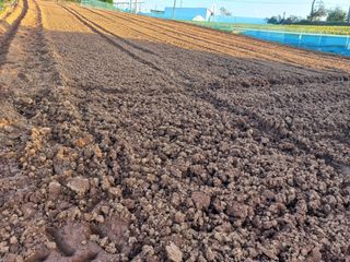 박린님의 자유주제 · 자유게시판 작성글 사진