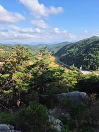 허굴산농장님의 자유주제 · 자유게시판 작성글 사진