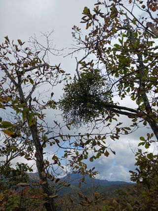 자유인 10496님의 자유주제 · 사진전 작성글 사진