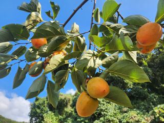 김재현님의 자유주제 · 칭찬해요 작성글 사진