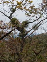 팜모닝 자유주제·사진전 게시글 이미지