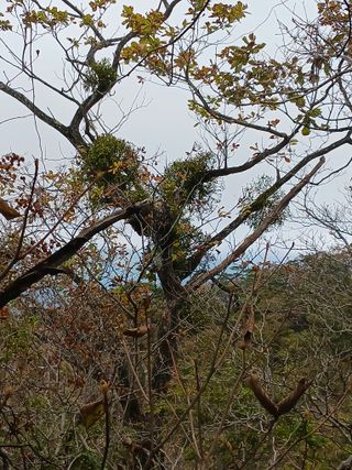 자유인 10496님의 자유주제 · 사진전 작성글 사진