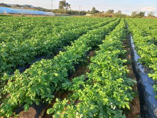 박린님의 자유주제 · 자유게시판 작성글 사진