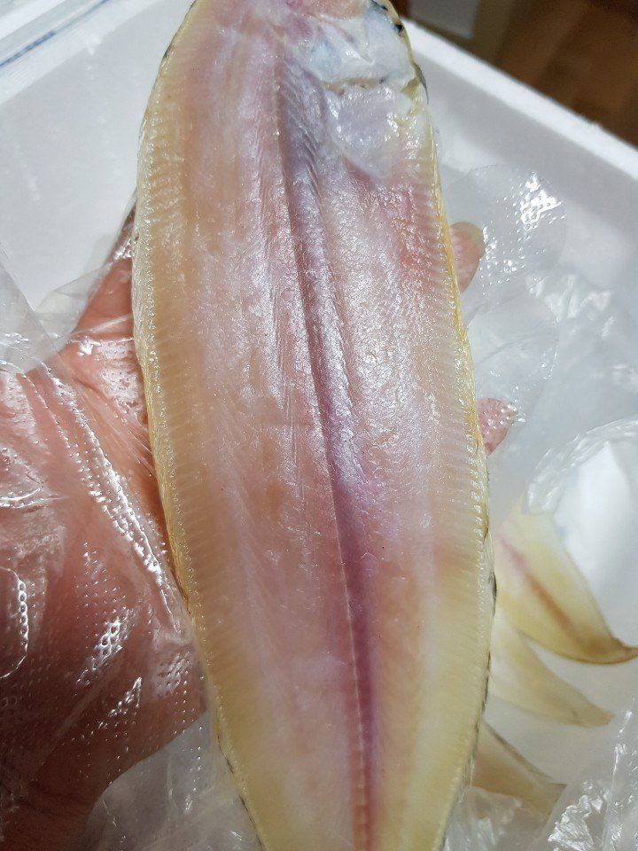 장금이1님의 장터 판매 상품 [왕특대 반건조 박대 5미  마감] 첨부 사진