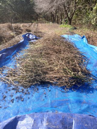 김영진님의 자유주제 · 자유게시판 작성글 사진