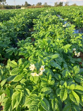 박린님의 자유주제 · 자유게시판 작성글 사진