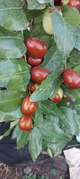 팜모닝 · 게시글 이미지