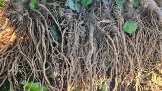 조병대님의 작성글 사진